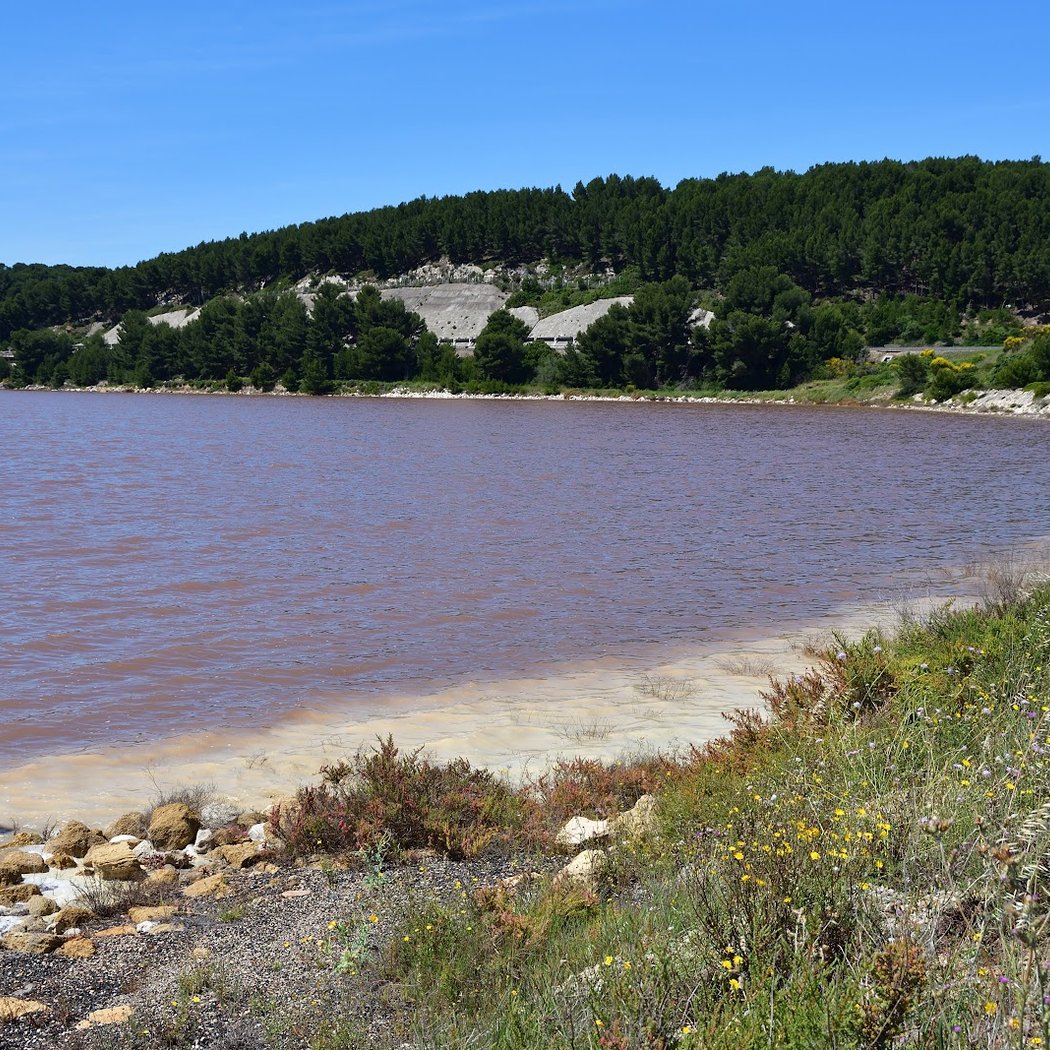 Forêt Domaniale de Castillon 1