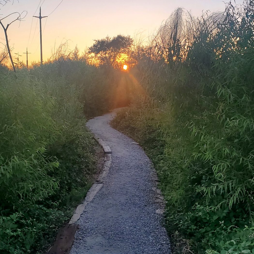 Corteva Wetlands Preserve 1