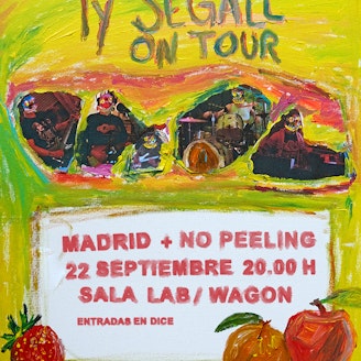 Ty Segall Concert 1