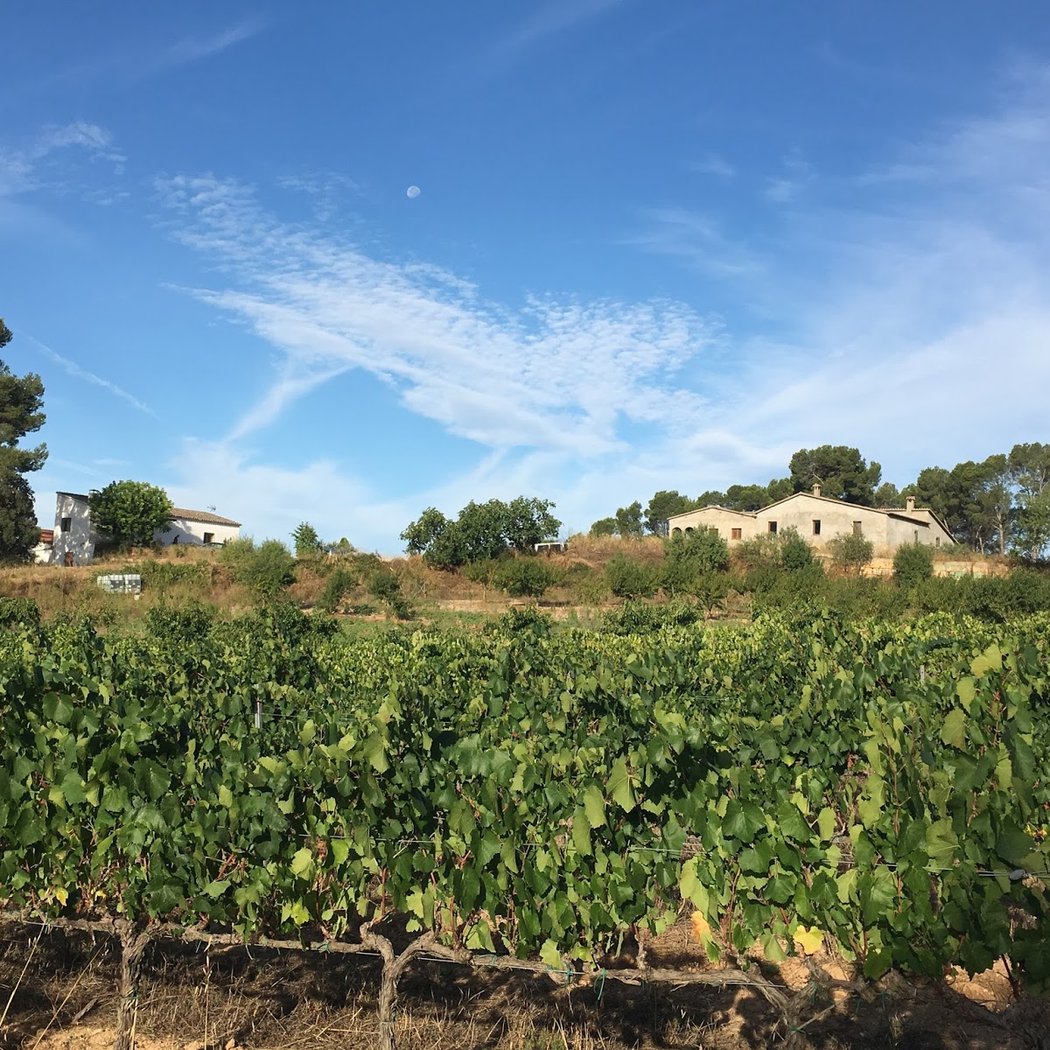 Clot De Les Soleres 2