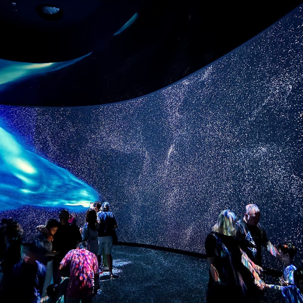 Journey Through Our Solar System 2