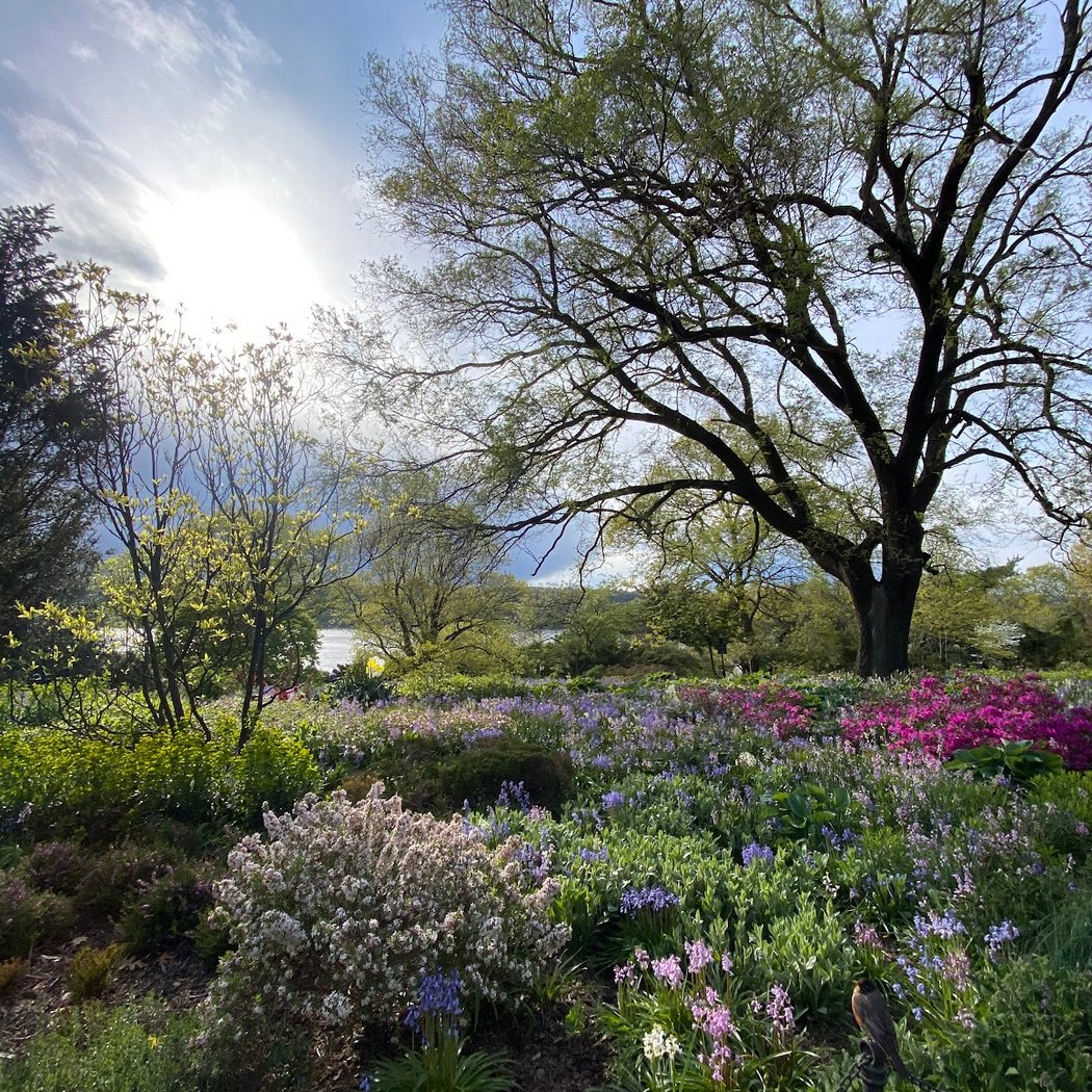 Fort Tryon Park Trust 1