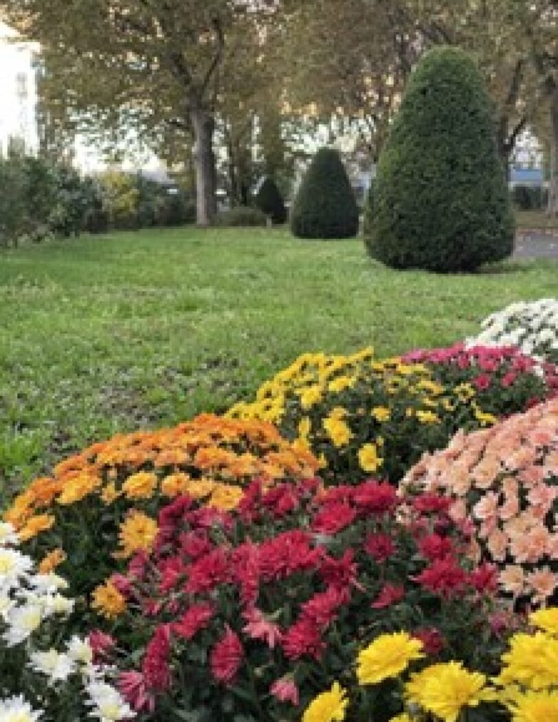 Nouveau Cimetière de Villeneuve-la-Garenne 1