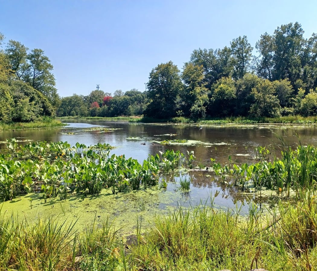 Churchill Woods Forest Preserve 2