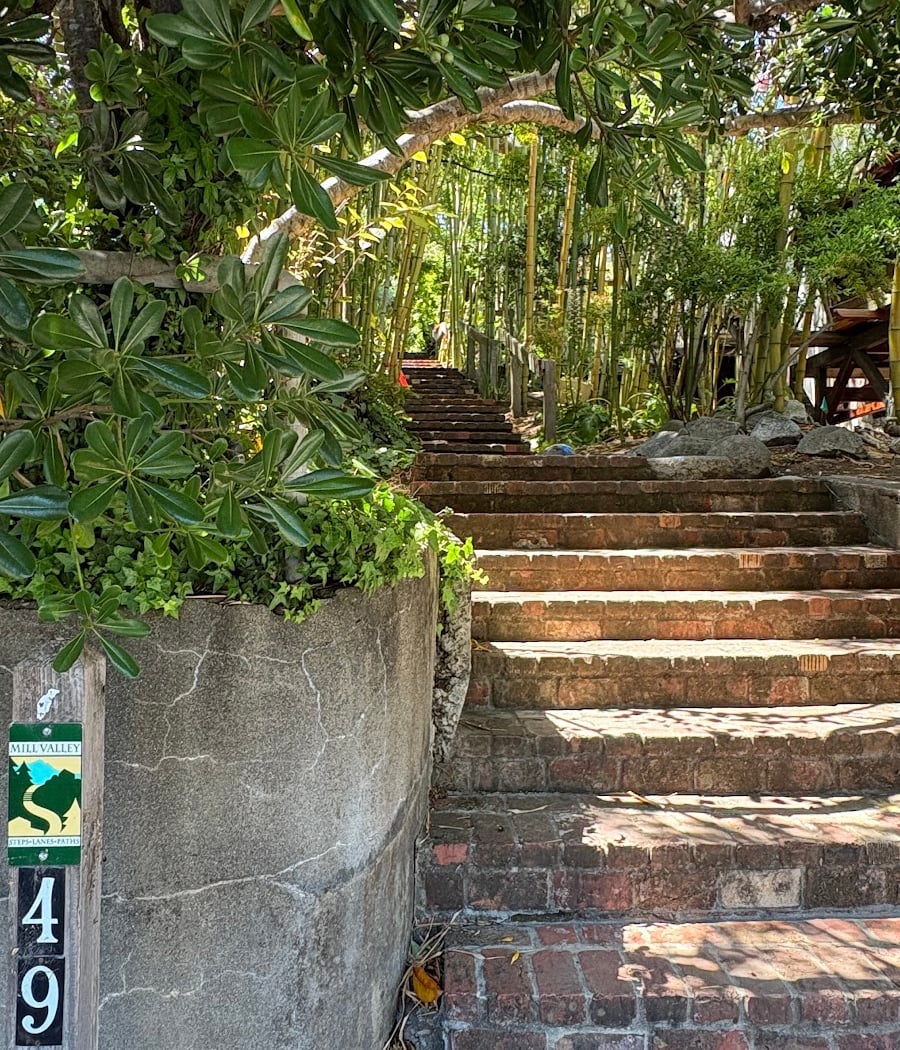 Mill Valley Steps #49 1