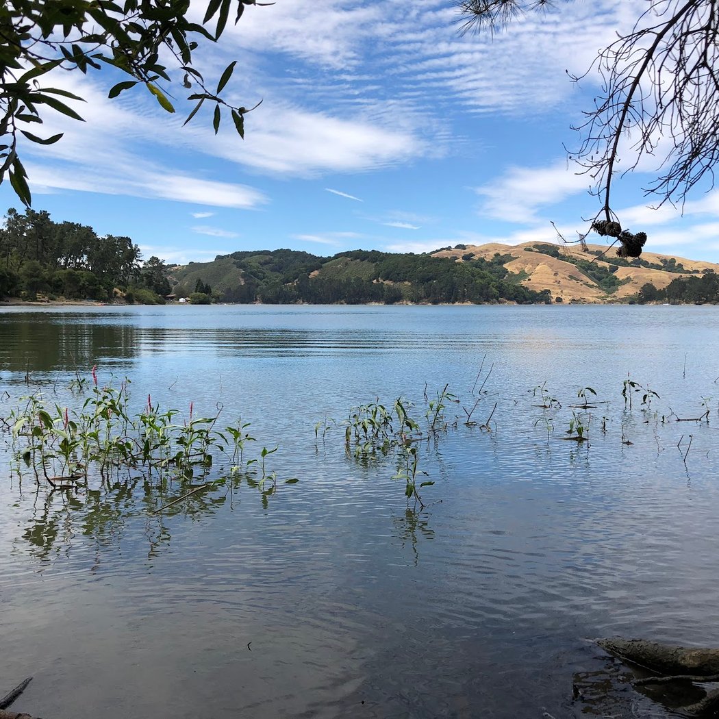 San Pablo Reservoir 3
