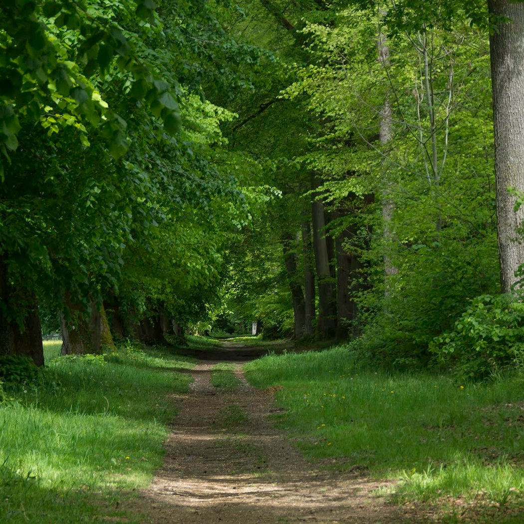 Parc du Château de Villers-Cotterêts 1