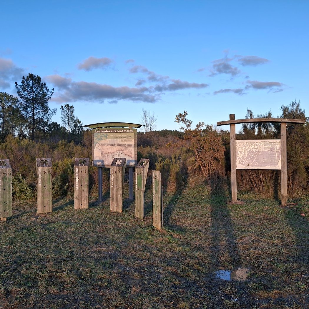 Landes de Montendre 2