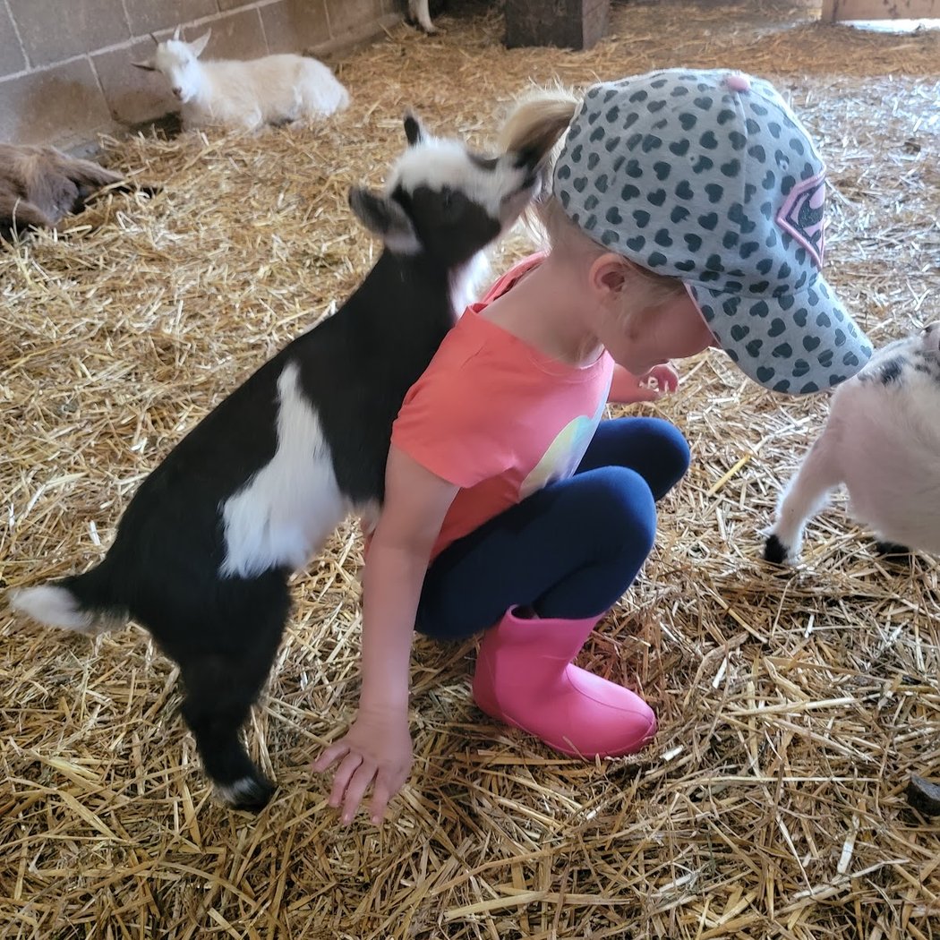 Learning Tree Farm 1
