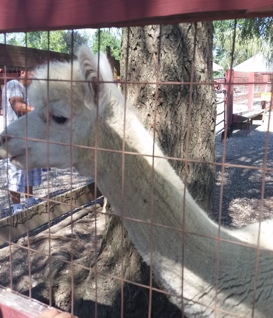 Silverman's Farm 3