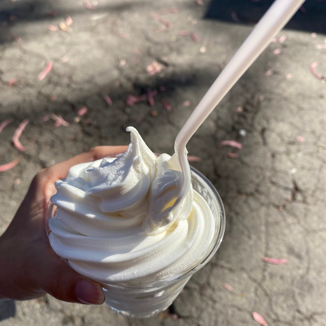 Treats By The Bay 1