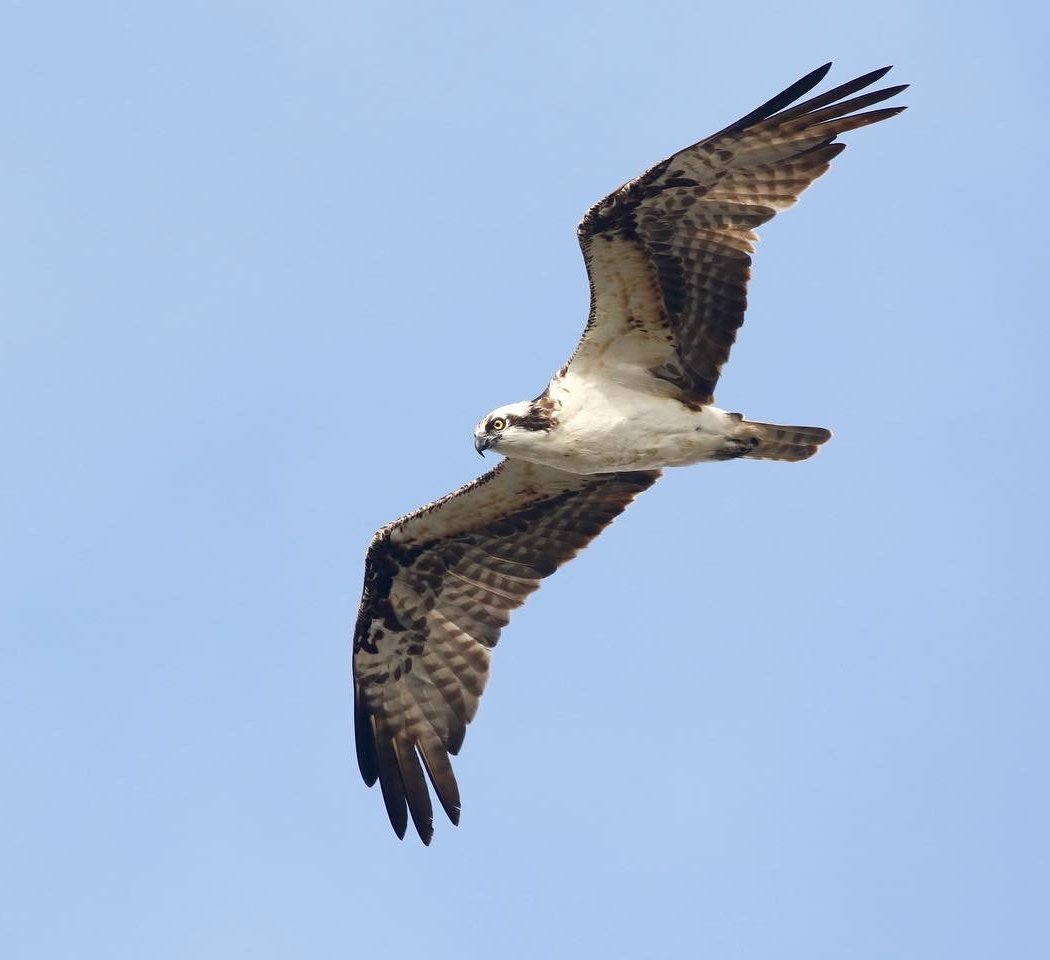 Fagan Marsh State Marine Park 1