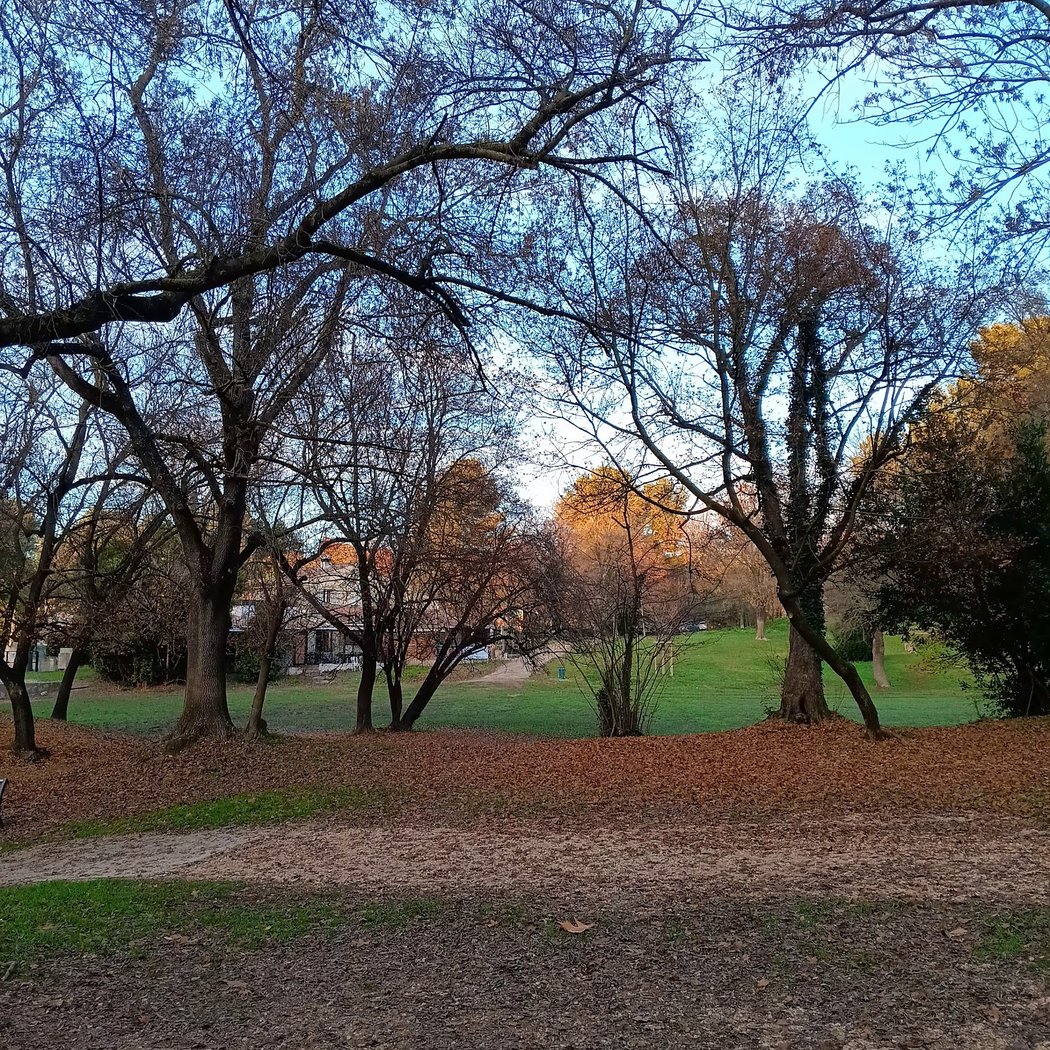 Parc Jean Moulin 3
