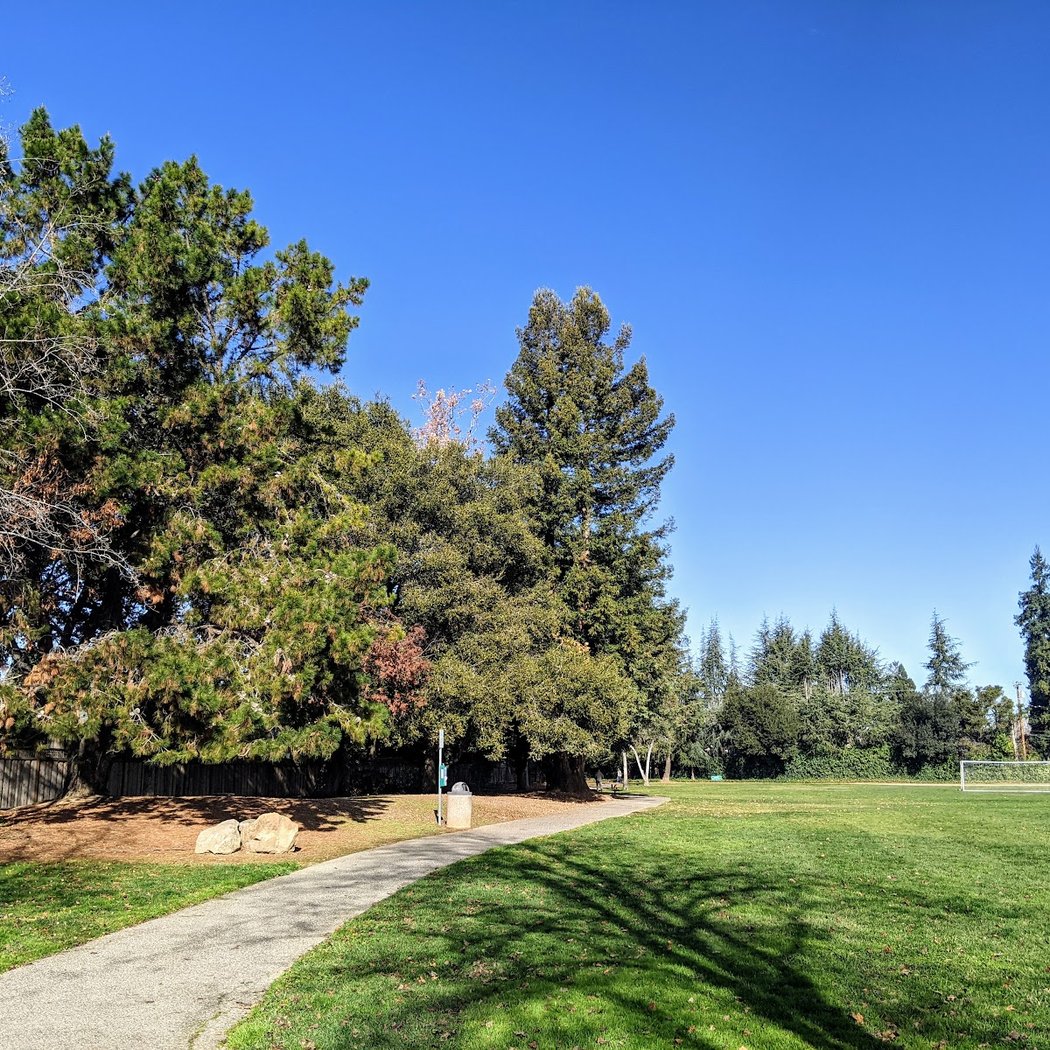 South Los Altos 1