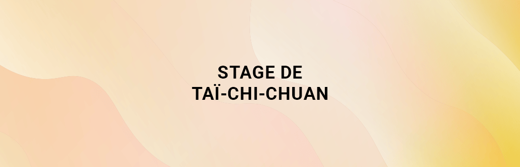 Stage de Taï-chi-chuan 1