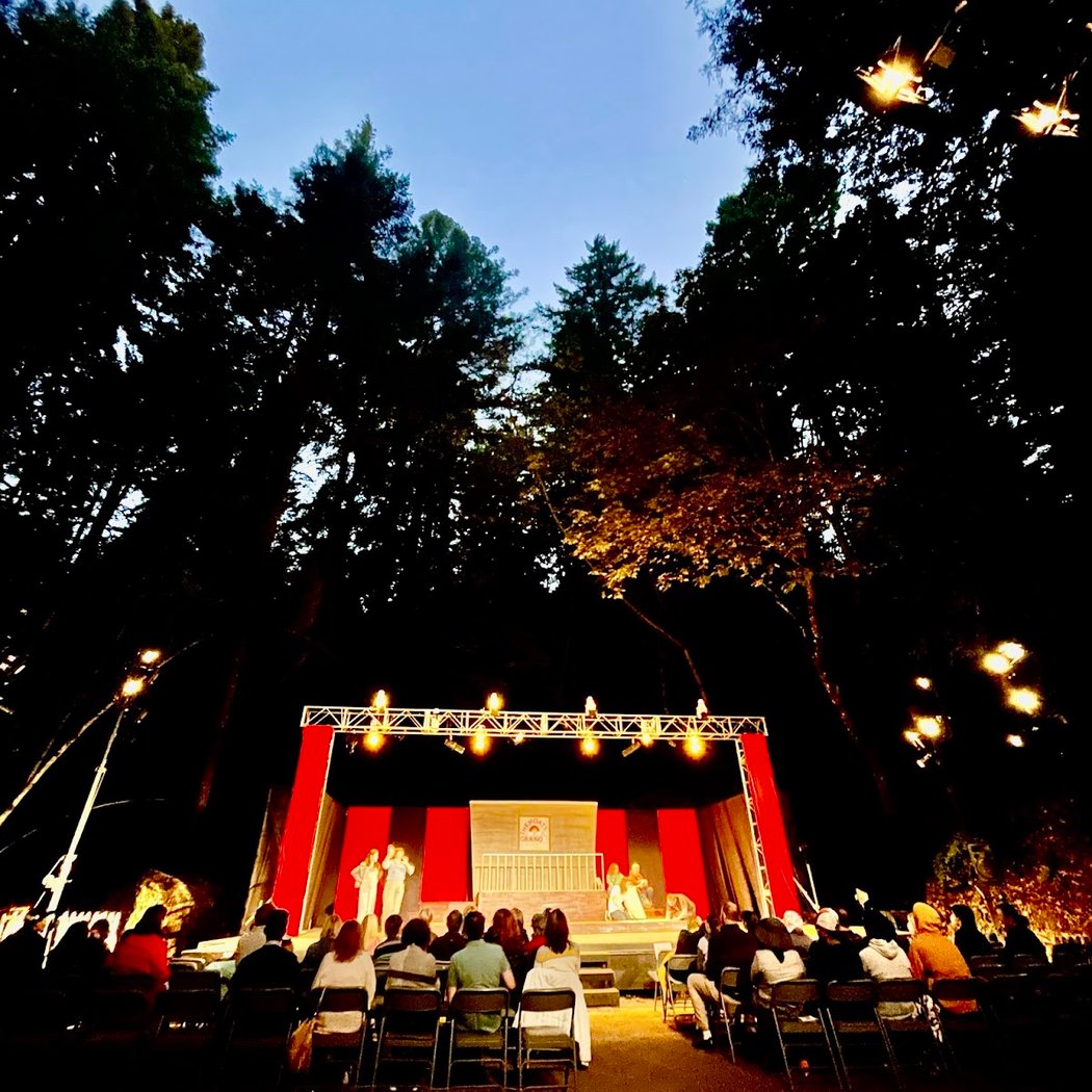 Silicon Valley Shakespeare 1