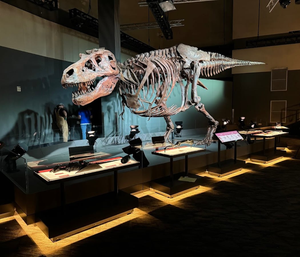 Saint Louis Science Center 3