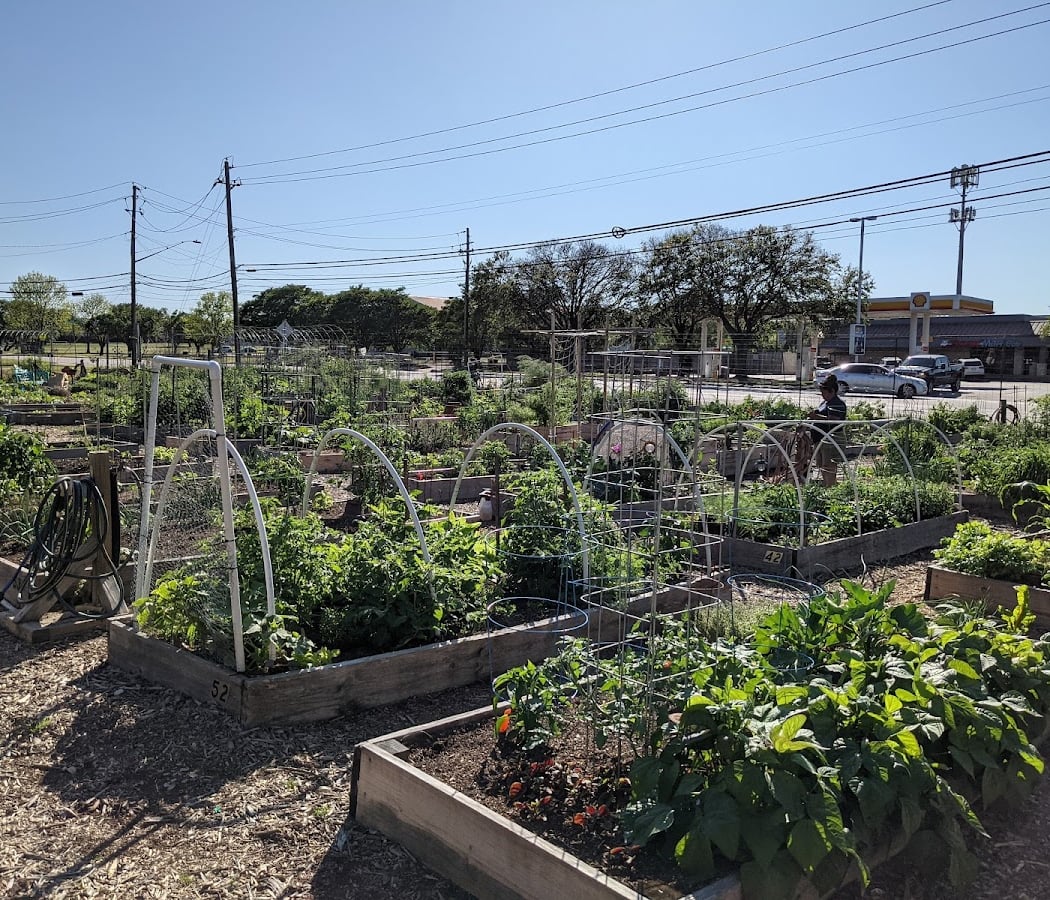 Community Garden Work Day 1