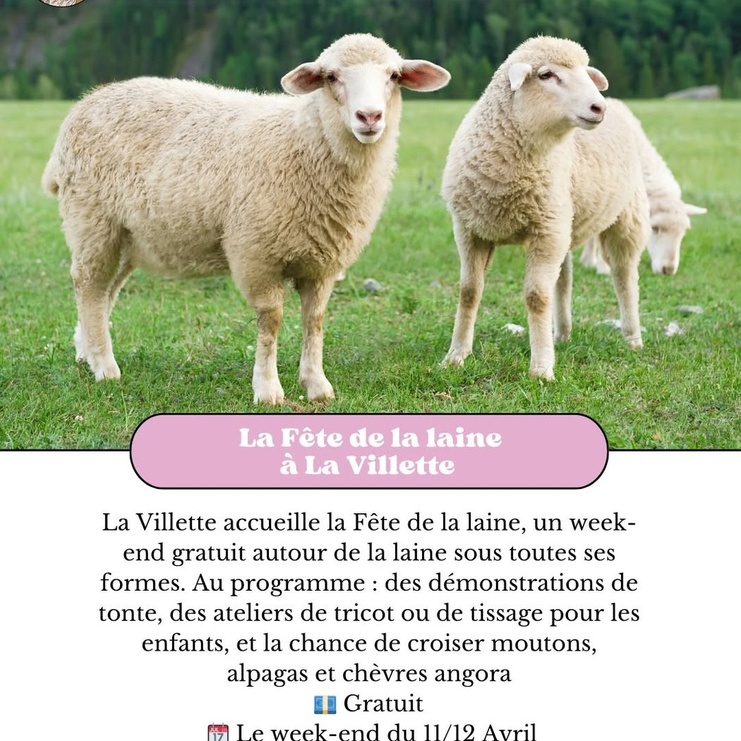 Fête de la Laine 3