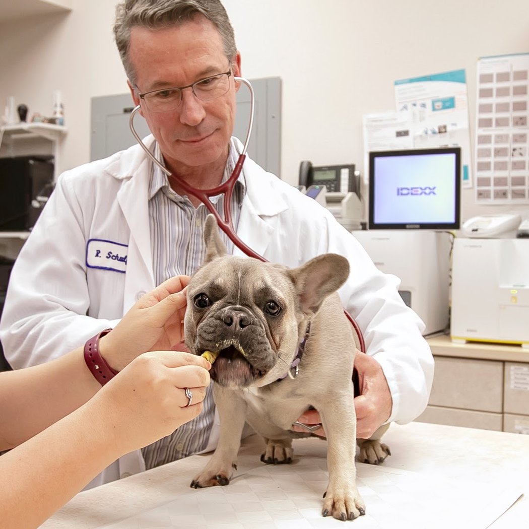 VCA Broadway Animal Hospital 1