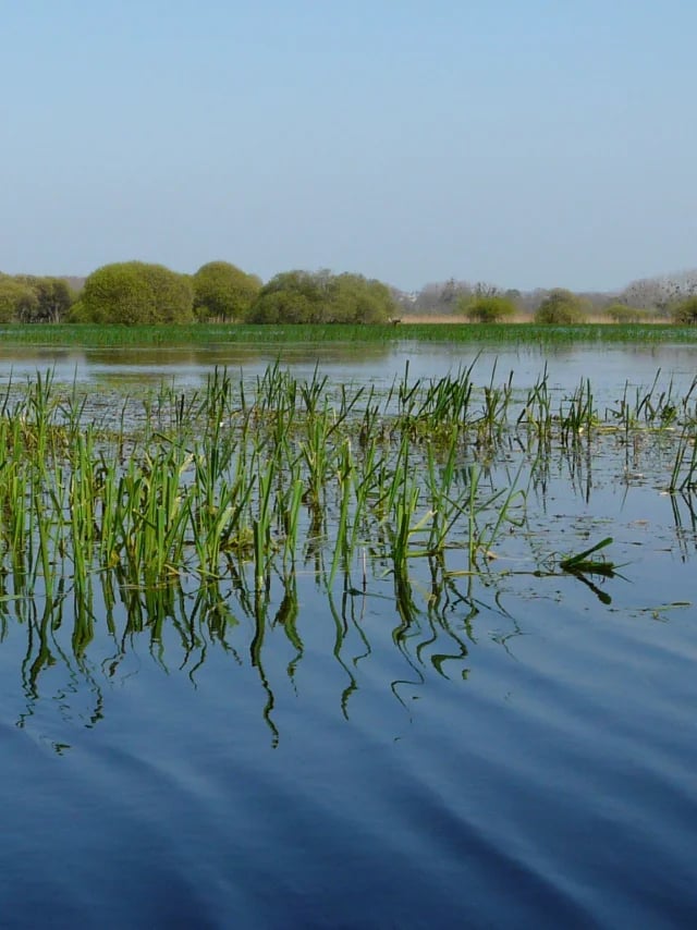marais de Goulaine 3