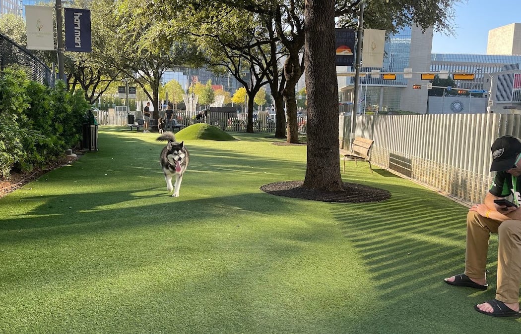Bark in the Park 2