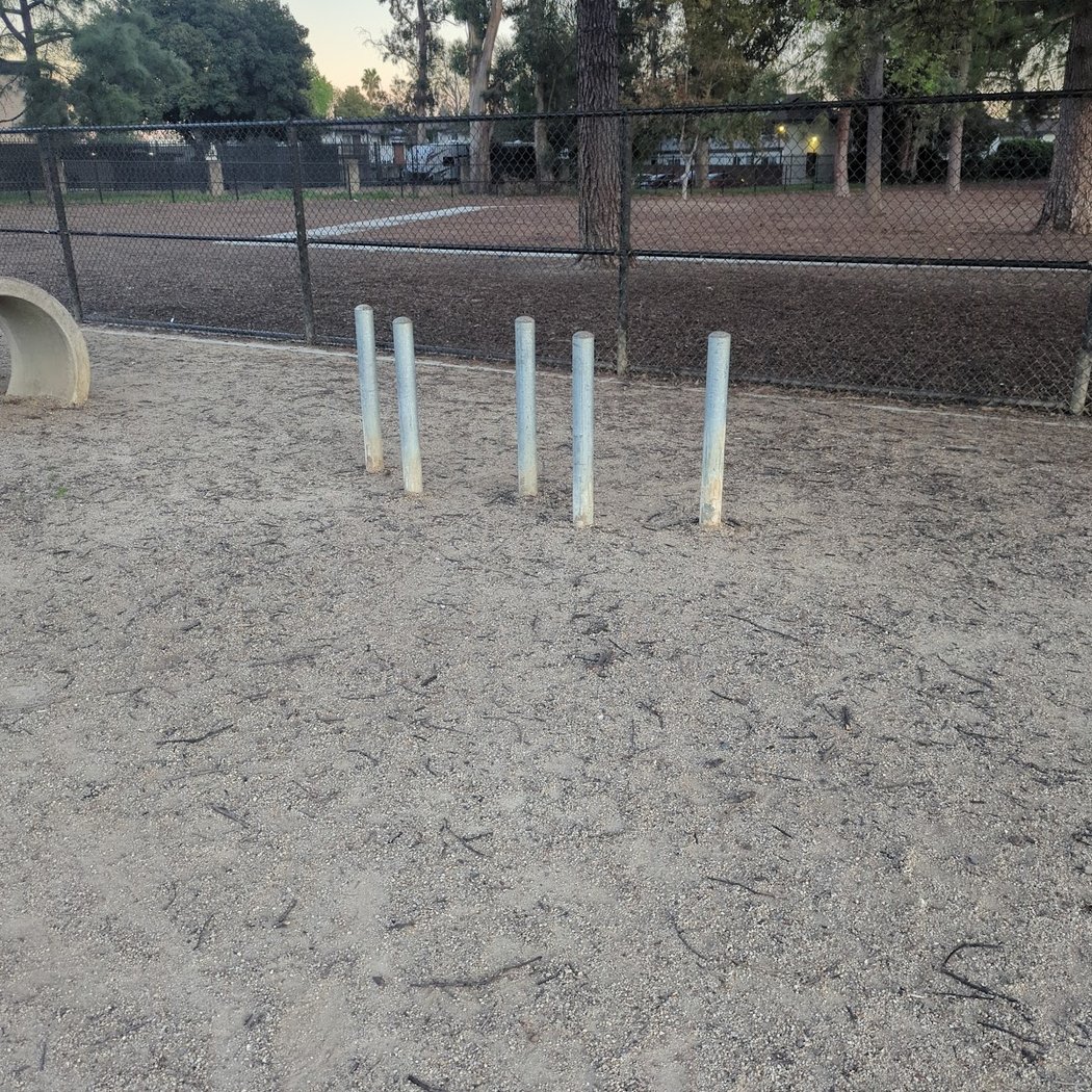 Dog park 2