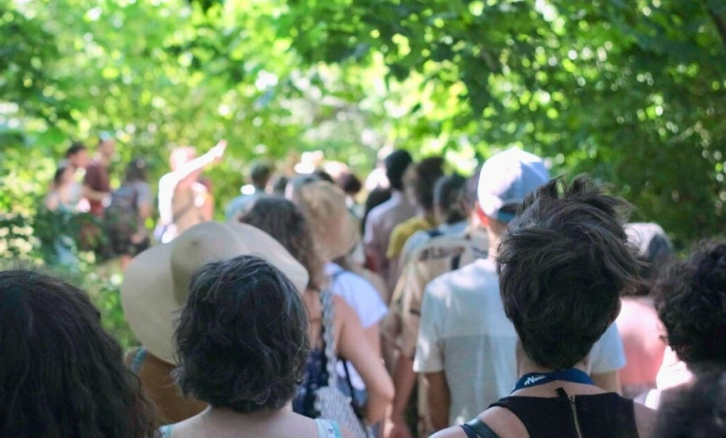 Ceci est le début d'une grande forêt 3