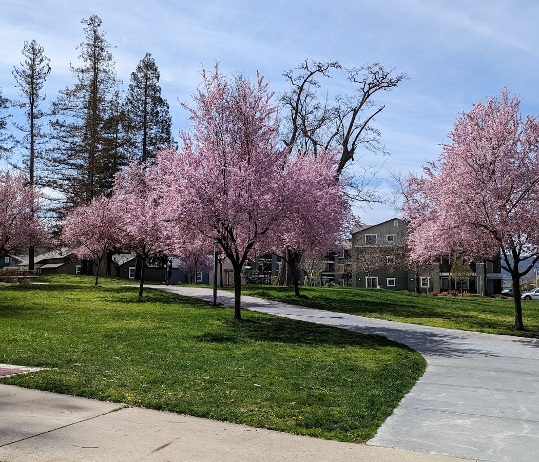 Kottinger Village Park 1