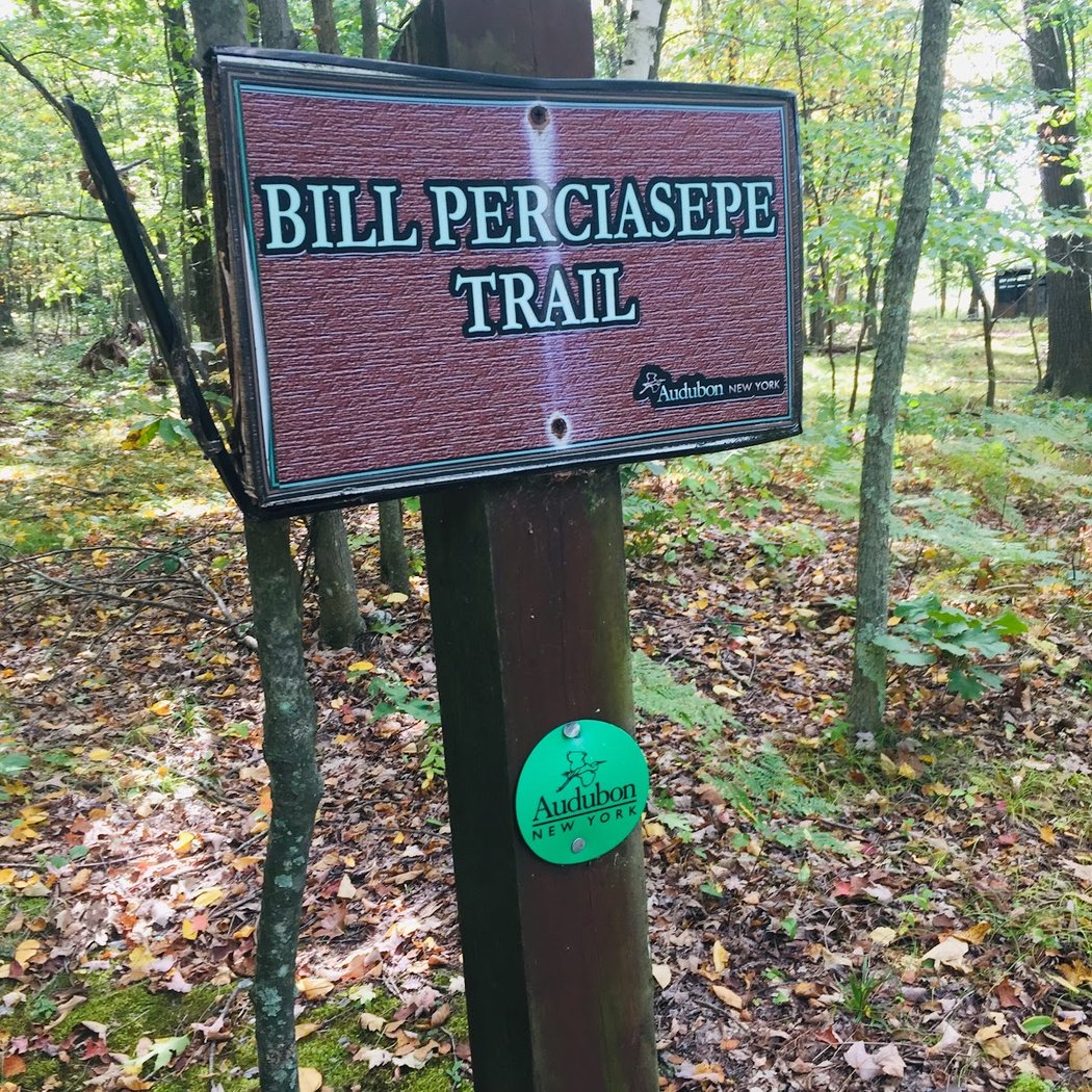 Rheinstrom Hill Audubon Center and Sanctuary 2