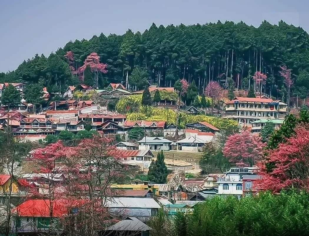 Ziro 3
