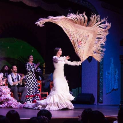 Espectáculo de flamenco 1