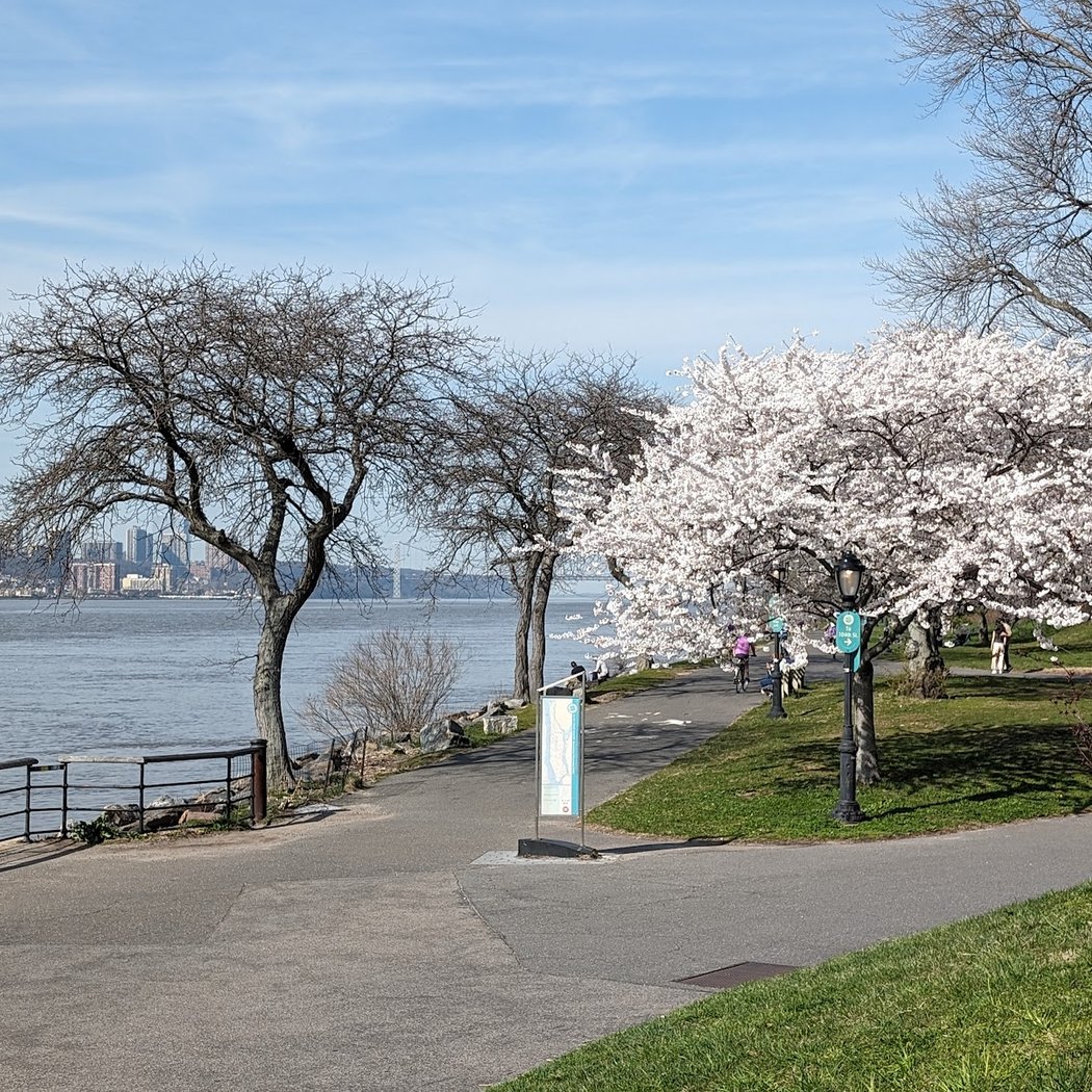 Parco Harlem 1