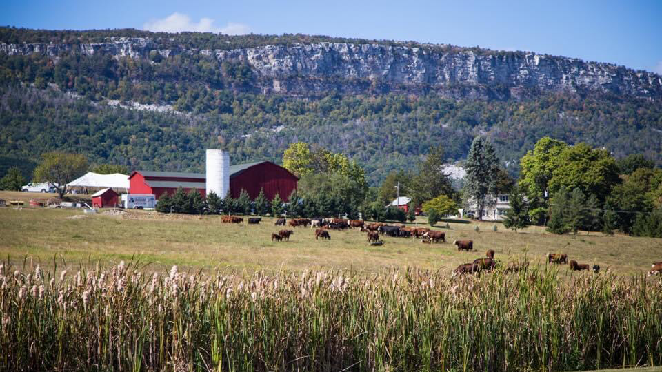 Kiernan Farm 1
