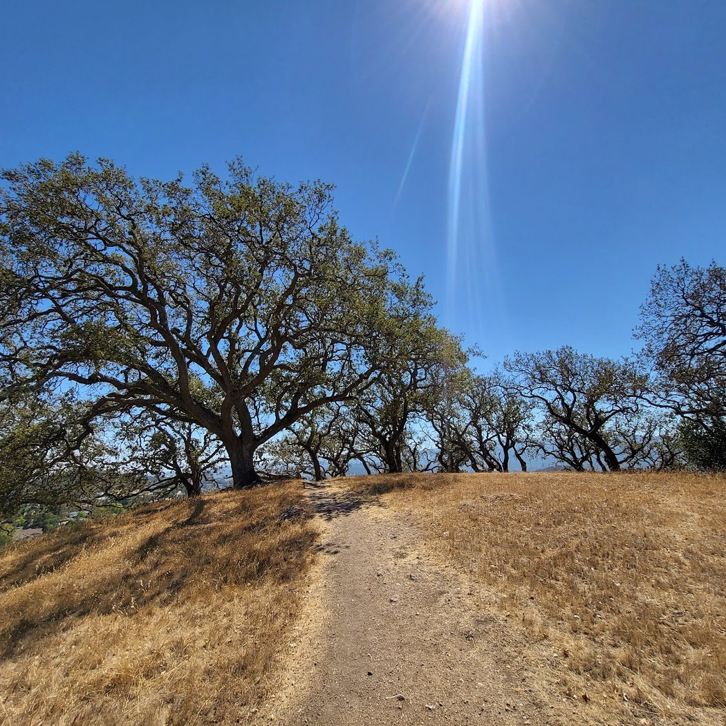 Hiking with Kids in Marin: Mount Burdell Open Space Preserve 1