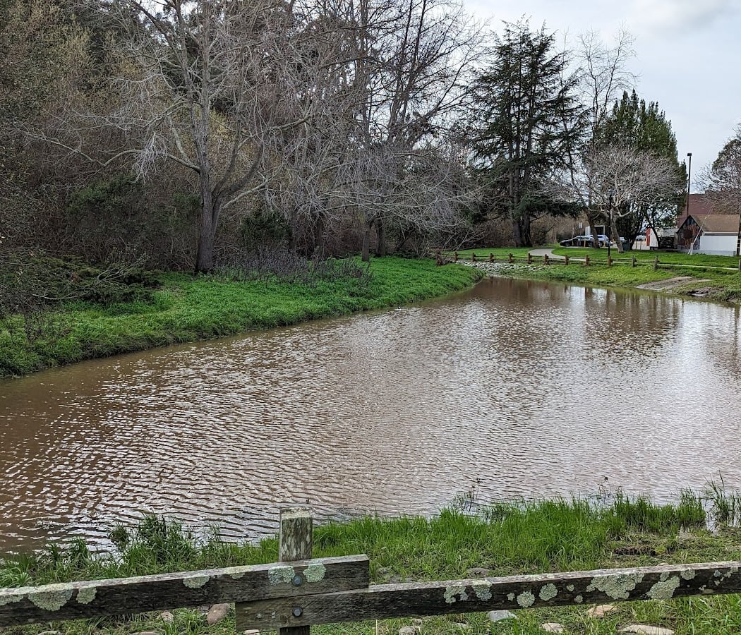 Cerrito Creek Path 2