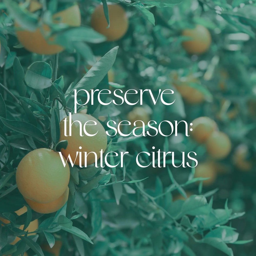 Preserve the Season: Winter Citrus 1