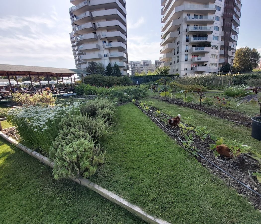 Raccogliamo insieme l'orto 2