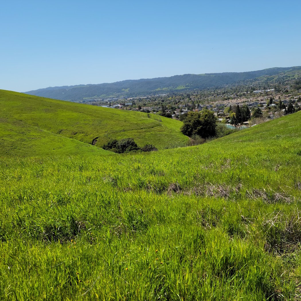 Old Ranch Park 1