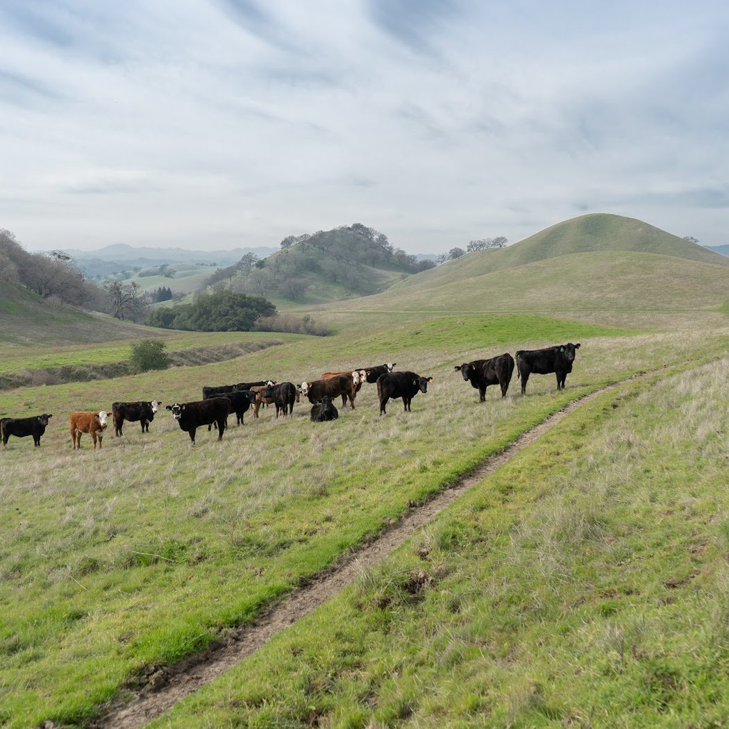 Castle Rock Regional Recreation Area 2