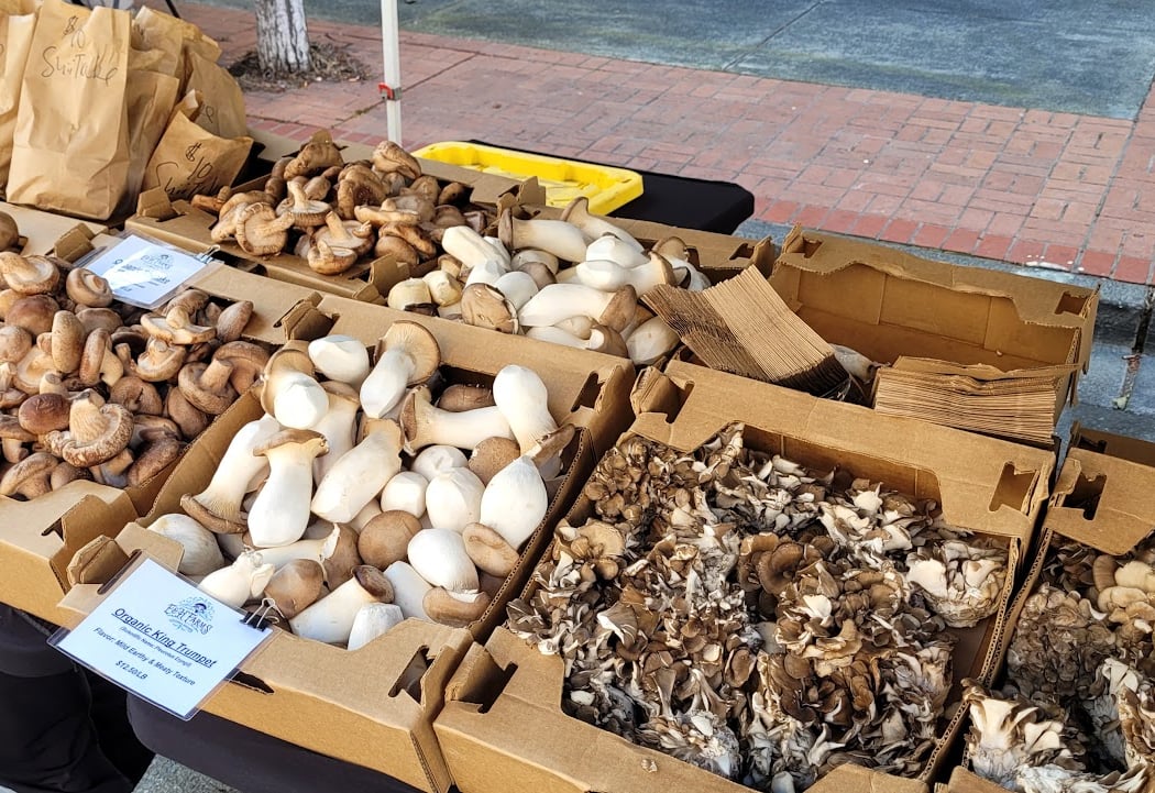 Vallejo Farmers' Market 3