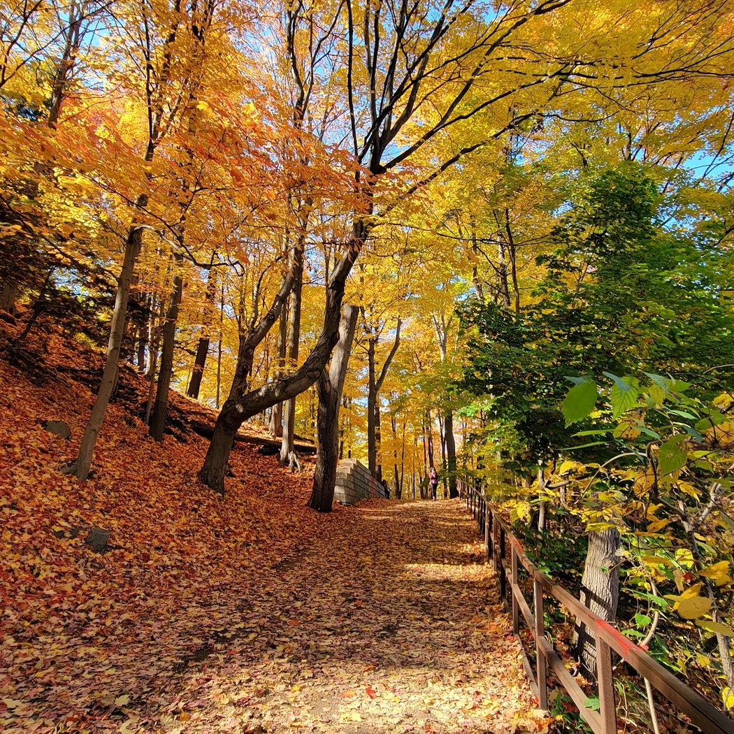 Humber River Recreational Trail 1