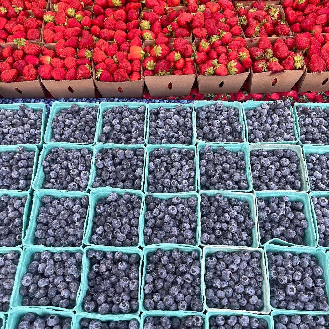 Fair Haven Farmers Market 1