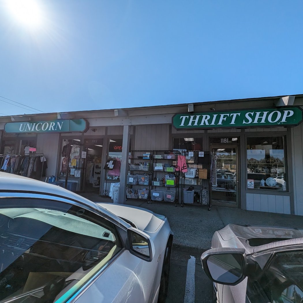 Unicorn Thrift Shop 2