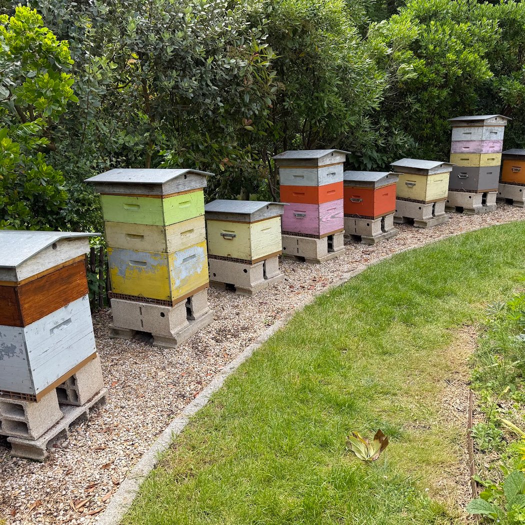 Le rucher des abeilles de l'île de la Jatte 2