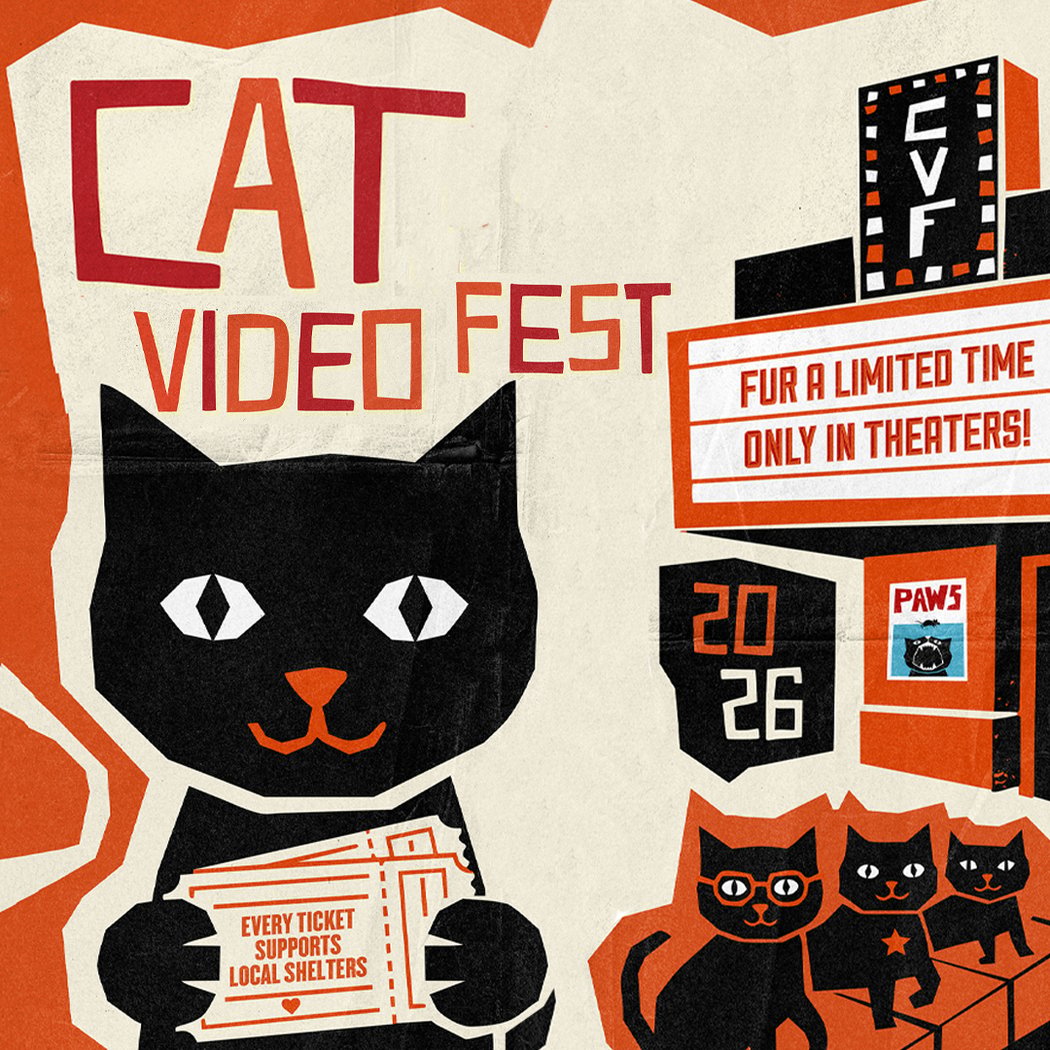 CAT VIDEO FEST 2026