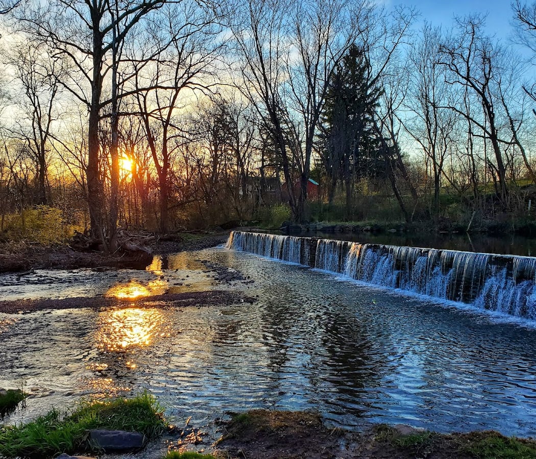 Fischer's Park 1