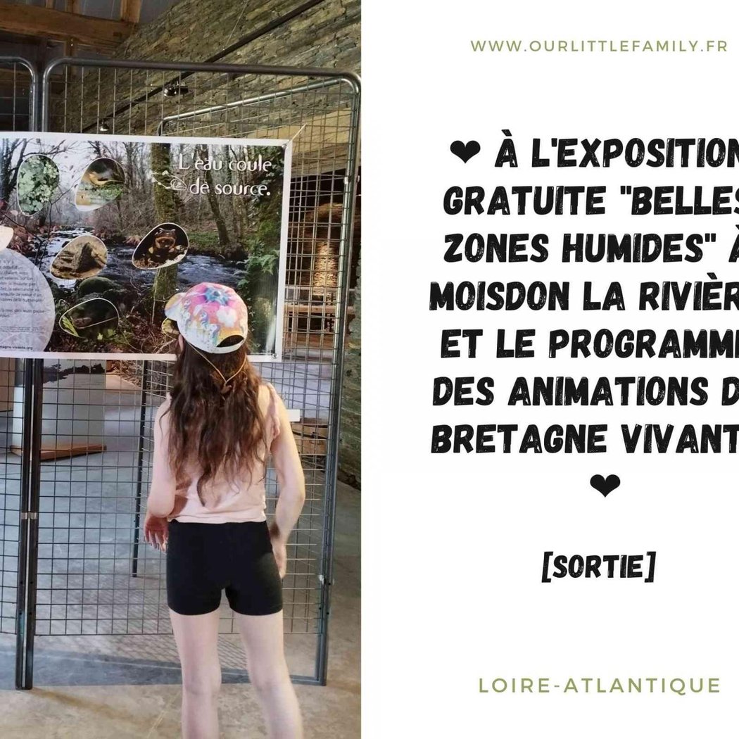 Belles zones humides 1