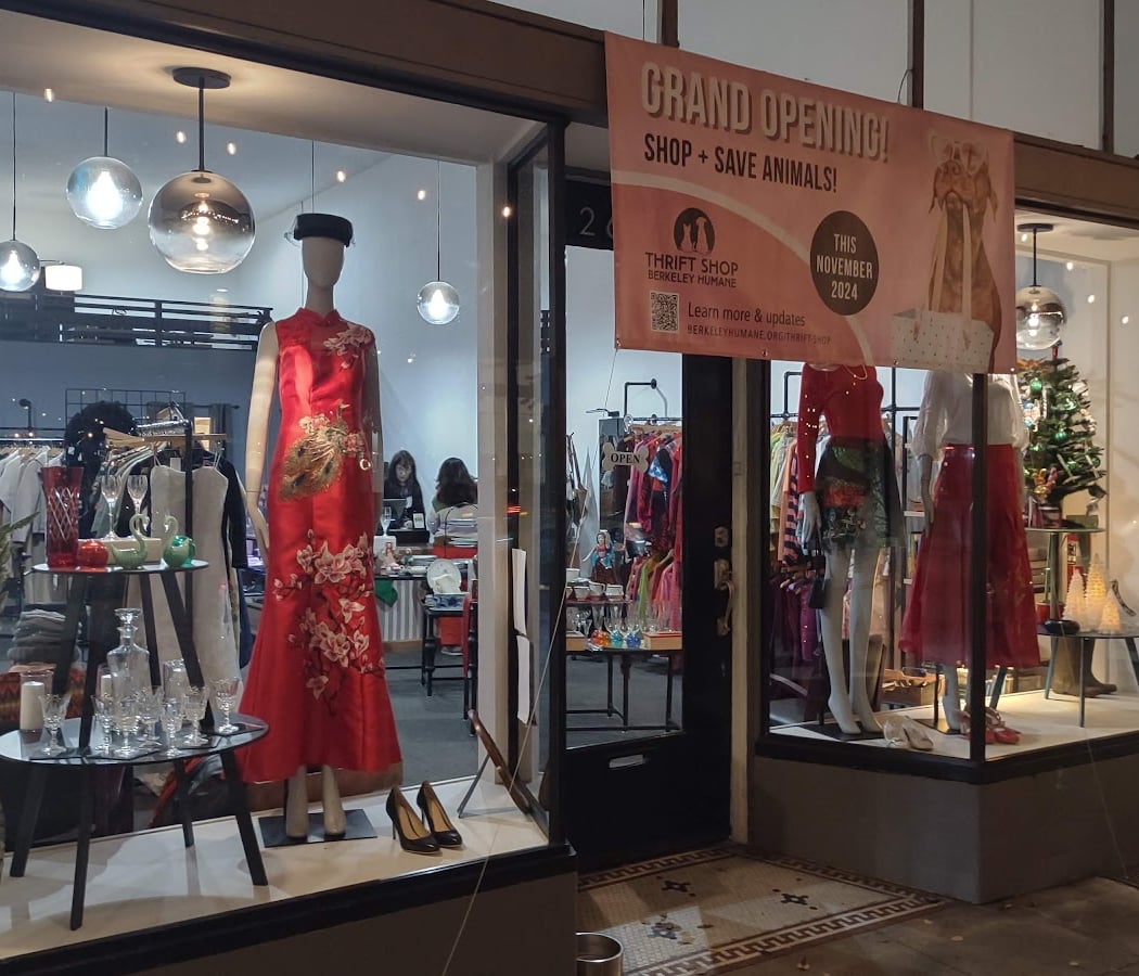 Thrift Shop Supporting Berkeley Humane -Ashby Avenue 2