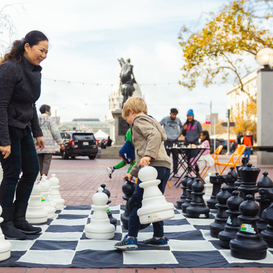 Learn and Play Chess and Mahjong 1